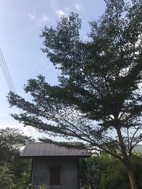 Jim Guesthouse Kanchanaburi Eksteriør billede